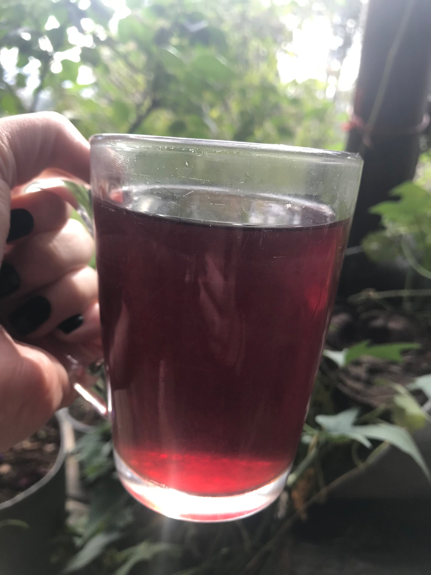 Menstrual Ease Tea Blend