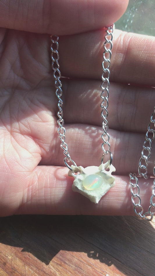 Necklace, Opal and Bone